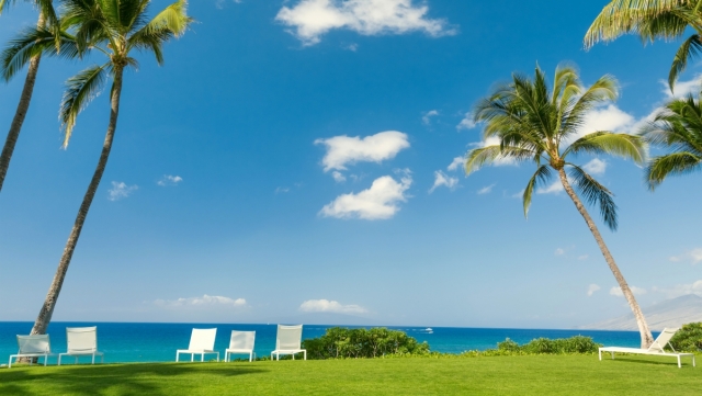 金年会：园林绿化斜坡种植