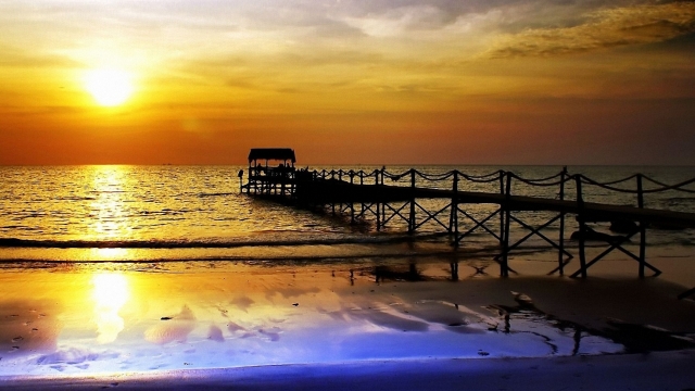 金年会公司：园林绿化调整