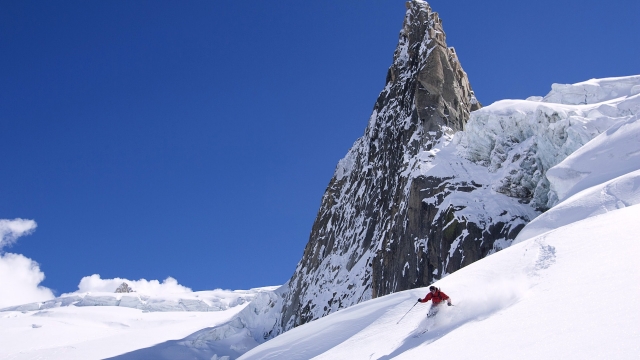 jinnianhui金年会：园林绿化绿色地漏