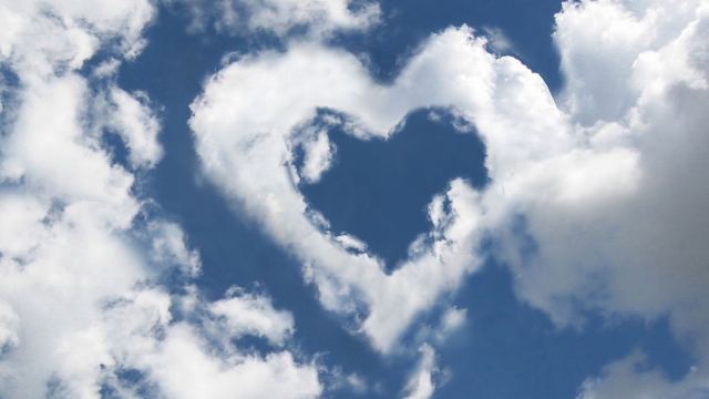 园林绿化栽植土壤要求