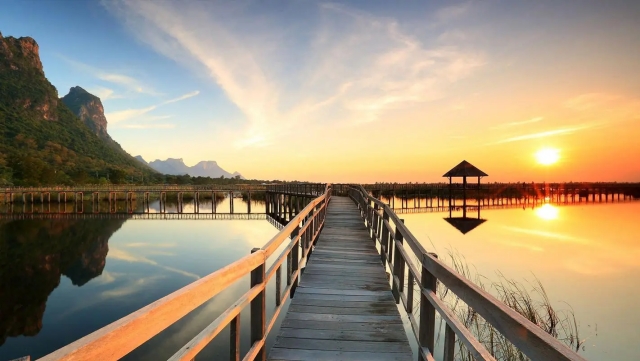 jinnianhui金年会：园林绿化树木定义