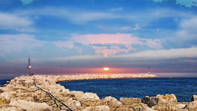 jinnianhui金年会：园林绿化喷水管