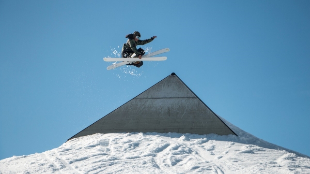 jinnianhui金年会：园林绿化红白花