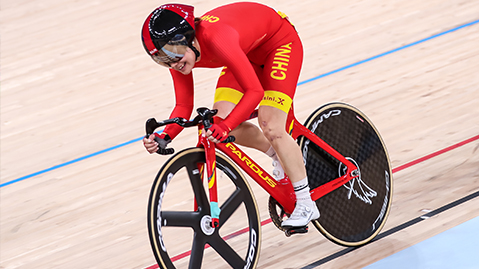 园林绿化树当柴火砍伐