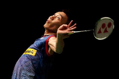 金年会：园林绿化用的树苗