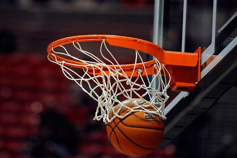 jinnianhui金年会：园林绿化都种什么树