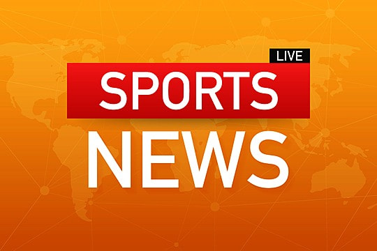 金年会：园林绿化年度养护