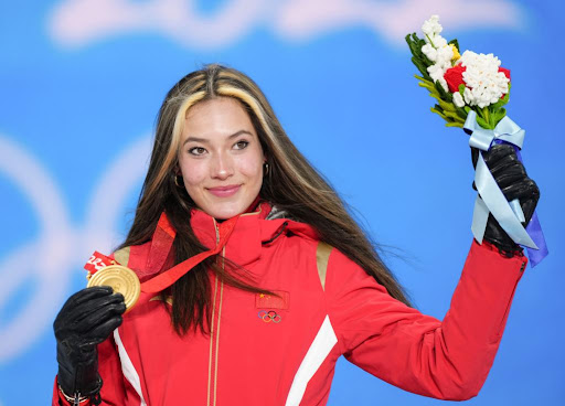 金年会：如何进行园林绿化工程的花草树木选植技巧